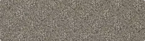 carpet Carpet | Carpet Plus