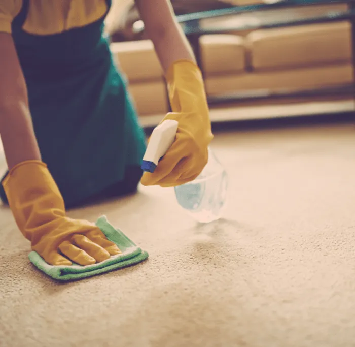 Daily-Carpet-Care Daily-Carpet-Care | Carpet Plus